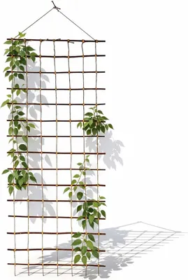 Produktbild von Floranica Rankhilfe 150 x 50cm Ranknetz aus Ökologische Weide für den Garten Balkon und Terrasse für Rosen o Gemüse