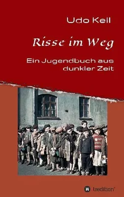 Produktbild von Risse im Weg