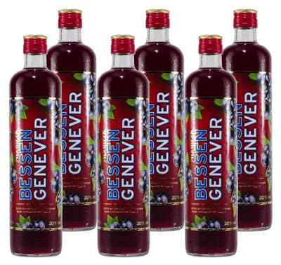 Produktbild von Mijnheer Bessen Genever (6 x 0,7L)