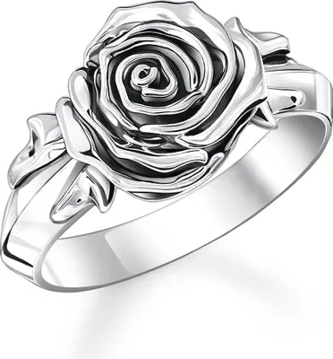 Obrázek produktu pro Thomas Sabo  TR2487-637-21-50