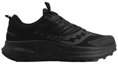 Produktbild von Laufschuhe Saucony Ride TR2 GTX für Herren
