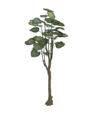 Produktbild von EUROPALMS Pothosbaum, 150cm
