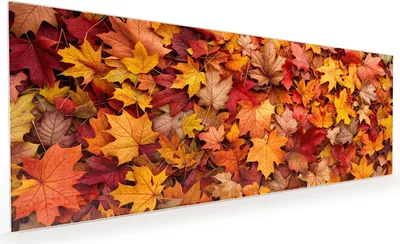 Produktbild von Küchenrückwand Spritzschutz Glas mit Motiv Herbstlaub 40 x 40 cm