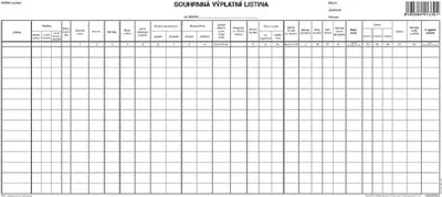 Zdjęcie produktu dla 1133 - Podsumowanie listy płac, 42,5x21 cm