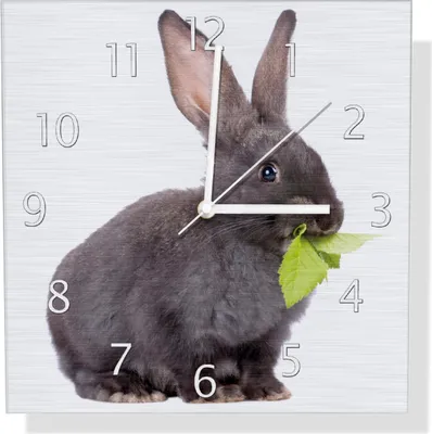 Produktbild von Wallario Design Wanduhr Süßes Kaninchen mit Grünzeug beim Futtern aus Aluverbund, Größe 30 x 30 cm