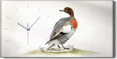 Produktbild von Wandbild Leinwand Bilder mit Uhr 60x30 Zeichnung Tier Vogel Ente Kunst - weiße Hände