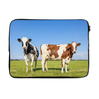 Produktbild von MuchoWow® Laptop Hülle 14 ZollKühe - Bauernhof - Gras - Natur - Tiere Laptoptasche - Laptoptasche - Stoßsicher - Schutzhaube
