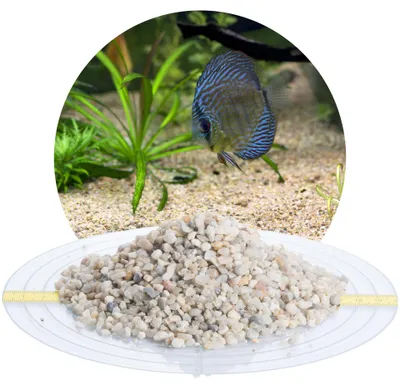 Produktbild von Schicker Mineral-Aquariumkies beige 25 kg-3,15-5,6mm