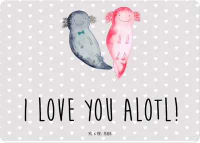 Produktbild von Mr. & Mrs. Panda tafel Axolotl Liebe DIN A4 - Grau Pastell - Geschenk, Freund, Retro Blechschild, Freundin, Türschild, Valentinstag, Wandbild, Jahrestag, für Frauen