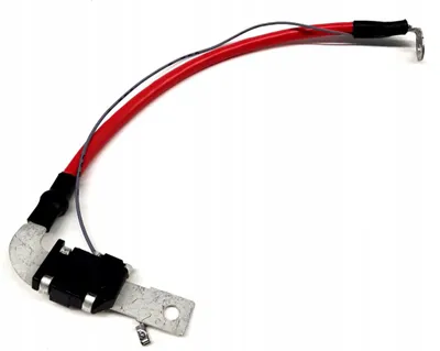 Immagine prodotto di VOLVO C30 C70 S40 V50 cavo batteria positivo + 30668096