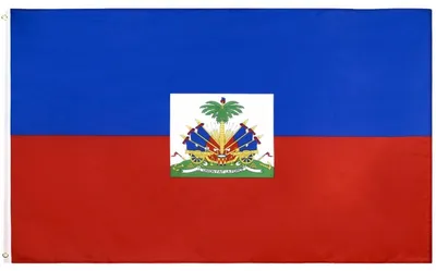 Productafbeelding van Go Go Gadget – Haïtiaanse vlag – 90 x 150 cm – Haïti