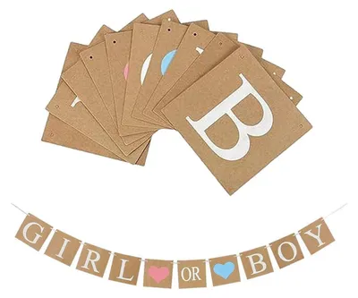 Produktbild von Gender Reveal Party Girlande Boy or Girl Babyparty Dekoration Rosa Blau