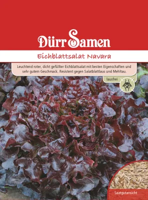 Artikelbild 1 von 'Eichblattsalat Navara' aus der Kategorie Eichblattsalatsamen