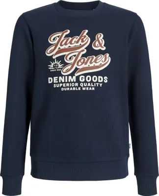 Obrázek produktu pro Mikina Jack & Jones Junior JJELOGO