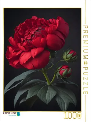 Produktbild von CALVENDO Puzzle Rote Phantasieblume | 1000 Teile Lege-Größe 64x48cm Foto-Puzzle für glückliche Stunden