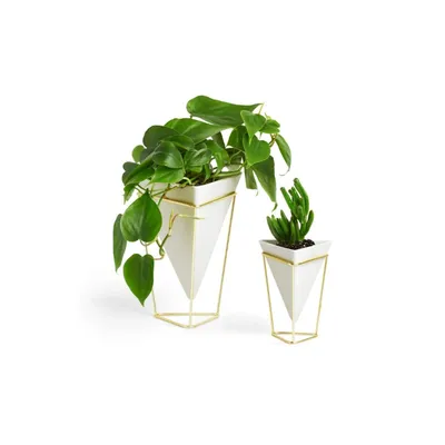 Obrázok produktu pre Umbra Trigg stolová váza, sada 2 kusov, stolová váza, váza na kvety, dekoratívna váza, dekorácia, dekorácia, keramika / kov, biela / matná mosadz, 1004372-524