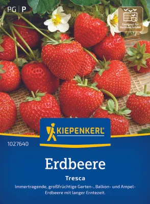Produktbild von Kiepenkerl Erdbeersamen Tresca Fragaria ananassa 30 Pflanzen