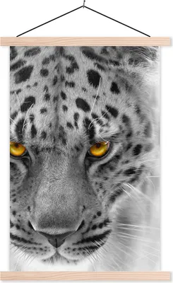 Produktbild von MuchoWow® Textilposter Leopard - Schwarz - Weiß - Gelb 60x90 cm mit holzfarbenen Rahmen - Textil