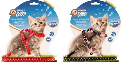 Obrázek produktu pro Postroj a vodítko kitten DUVO+ s puntíky 15-25cm/8mm-125cm