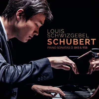 Obrázok produktu pre Franz Schubert (1797-1828): Franz Schubert (1797-1828): (CD / K) Klaviersonaten D.845 & D.958 - - (CD / K)