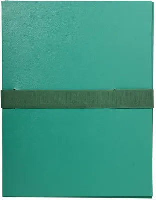 Immagine prodotto di EXACOMPTA 623E EXACOMPTA Cartella portadocumenti con chiusura in velcro, verde chiaro
