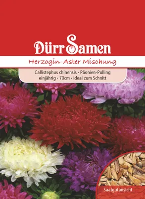 Produktbild von Herzoginaster Mischung | Herzoginasternsamen von Dürr Samen