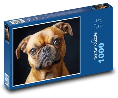Obrázek produktu pro martinpuzzle - Puzzle 1000 - Roztomilý pejsek