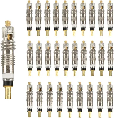 Produktbild von Ventileinsätze - Set mit 30 Stück - Messing - 26 x 5 mm