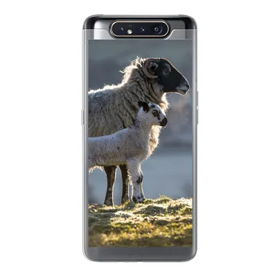 Produktbild von MuchoWow® Handyhülle Schutzhülle Hülle für Samsung Galaxy A80 Schaf - Lamm - Sonne Silikon Softcase Handy Hülle - Schutzdeckel