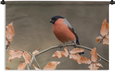 Produktbild von MuchoWow® Wandteppich Wandbehang Vogel - Laub - Herbst - Gimpel - 120x80 cm Tapisserie Dekoration Wandtuch - Wanddekorationen - Wandtücher