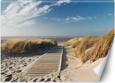 Produktbild von Vlies fototapete Strand Meeresdünen 368x254 cm Feeby Blau inkl. Kleber einfache Montage