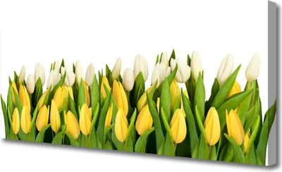 Produktbild von Tulup Leinwand-Bilder 125x50 Wandbild Canvas Kunstdruck Tulpen Pflanzen