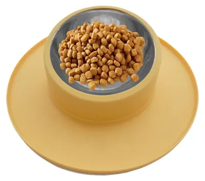 Produktbild von Robuster Tierbox mit verstärkter Basis