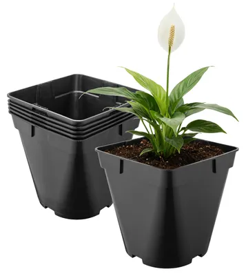 Image de Garronda, lot de 5 pots en plastique de forme carrée aux angles arrondis, avec trous de drainage, pour le jardin (noir, 18 x 18 x 18 cm (4 L)) GD-KW-SR