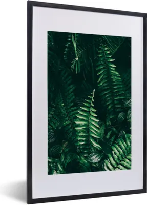 Produktbild von MuchoWow® Gerahmtes Poster Blätter - Dschungel - Natur - Tropisch - Pflanzen 40x60 cm - Poster mit Schwarzem Bilderrahmen Wandposter Rahmen Foto Bilder - Poster in Rahmen