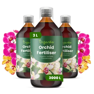 Obrázek produktu pro Orchidea Tekuté Hnojivo 3x1 L – 3-4-3 NPK – Pro Orchidey – Podporuje Zdravé Rostliny & Bohaté Květy – Organifer