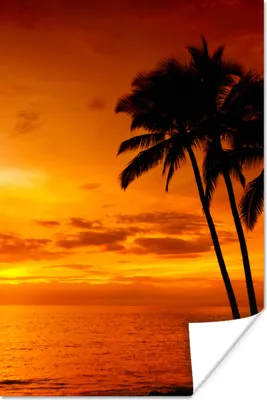 Produktbild von MuchoWow® Poster Palme - Sonnenuntergang - Tropisch - Orange - Meer 40x60 cm - Plakate für die Wand - Poster Babyzimmer