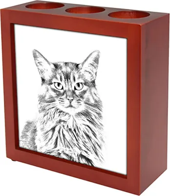 Obrázek produktu pro Somálská kočka - stojan na pero s kočkou, stolní organizér s potiskem, personalizovaná ozdoba na stůl značky Art-Dog