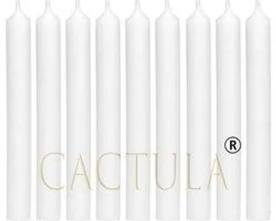 Obrázok produktu pre Cactula sviečky – biela – 18 kusov – 19,5 cm – priemer 2,1 cm