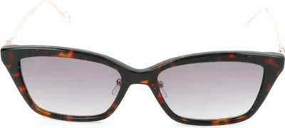 Produktbild von Adidas AOK008 CL1683 Havana brown 53/17/140 Uni Sonnenbrillen