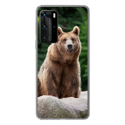 Produktbild von MuchoWow® Handyhülle Schutzhülle Hülle für Huawei P40 Pro Wald - Bär - Steine Silikon Softcase Handy Hülle - Schutz