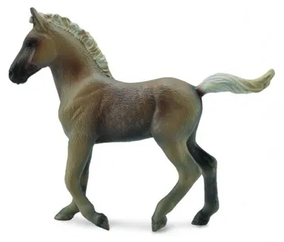 Image de Collecta Fohlen Der Rocky Mountains Chocola M Figur Braun 3-6 Years Braun 3-6 Years