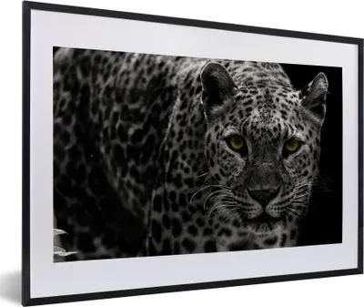 Produktbild von MuchoWow® MuchoWow® Gerahmtes Poster Leopard - Schwarz - Weiß 60x40 cm - Poster mit zchwarzem Bilderrahmen - Schlafzimmer - Plakat in Rahmen - Drucken