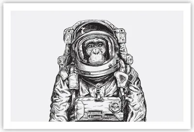 Produktbild von Poster - Poster ohne Rahmen - Schimpanse Astronaut Zeichnung - 91,5x61 cm - Wand Bild - Wanddeko - Wandbilder - Kunstposter - Wandposter - Bilder - Kunstdruck - Wandbild - P2XAA91x61-4312