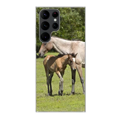 Produktbild von MuchoWow® Handyhülle Schutzhülle Hülle für Samsung Galaxy S22 Ultra Pferde - Gras - Schatten Silikon Softcase Handy Hülle - Abbildung