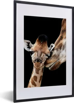 Produktbild von MuchoWow® Gerahmtes Poster Giraffe - Tiere - Schwarz - Porträt - Tiere 40x60 cm - Poster mit Schwarzem Bilderrahmen Wandposter Rahmen Foto Bilder - Poster in Rahmen