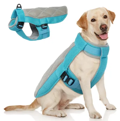 Kühlweste für Hunde, atmungsaktiv, reflektierend, Blau, L