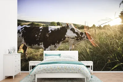 Produktbild von MuchoWow® Fototapete für Wohnzimmer oder Schlafzimmer Wandtapete Vinyl Motivtapete Kühe in der Normandie - 330x220 cm - Fototapeten