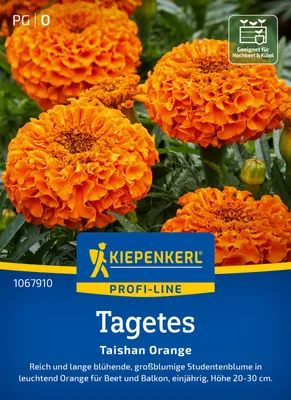 Produktbild von Kiepenkerl Tagetessamen Taishan Orange F1 Tagetes erecta 20 Pflanzen