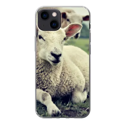 Produktbild von MuchoWow® Handyhülle Schutzhülle Hülle für iPhone 13 Schaf - Lamm - Gras Silikon Softcase Handy Hülle - Karteninhaber